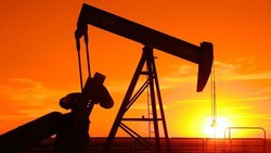 Harga Minyak Dunia Masih Loyo, Darmin: Pendapatan Negara Juga Turun