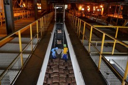 RI Pede Tahun Depan Salip Vietnam Jadi Produsen Semen Terbesar Asia