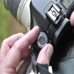 Bagaimana Komposisi Kamera yang Pas untuk Memotret?