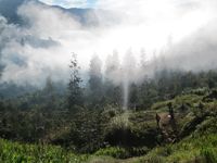 Ugimba, Desa Tersembunyi di Kaki Carstensz