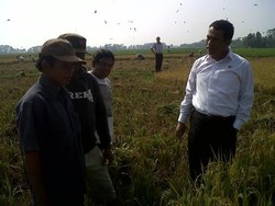 Mentan Ungkap Ada Bupati Lapor ke Jokowi: Ini Menteri Tega Sekali