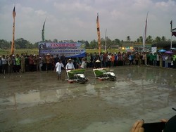 Petani Curhat ke Mentan: Anak Muda Alergi ke Sawah, Pilih Jadi TKI