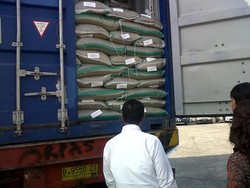 Dolar Perkasa, Mentan Sebut Petani Kacang Hijau Raup Untung