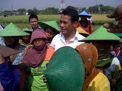 Turun ke Sawah, Mentan Traktir 20 Ibu-Ibu Buruh Tani