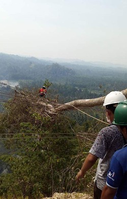 9 Hari, Tim Spiderman PLN Atasi Krisis Listrik di Sulawesi