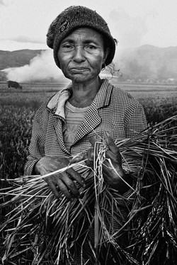 Jangan siakan Nasi mu Nak.