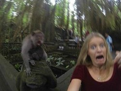 Kisah Traveler yang Mau Foto-foto Malah Celaka