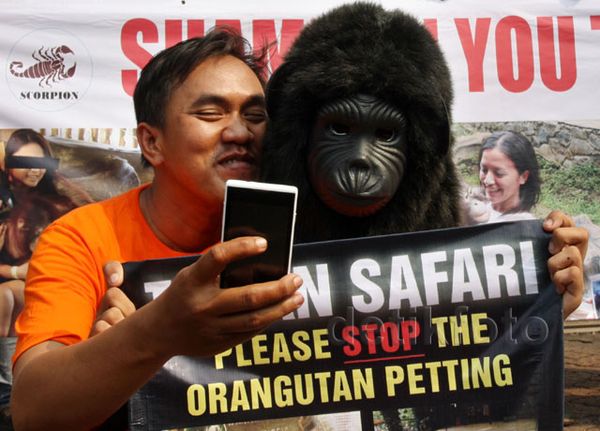 Demo Tolak Eksploitasi Orangutan