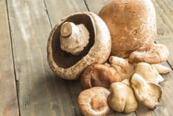 Jamur dengan Ciri-ciri Ini Aman dan Layak Dikonsumsi