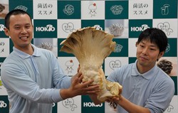 Jamur Termahal dan Terbesar Ini Berhasil Pecahkan Rekor Dunia