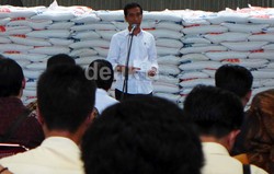 Jokowi Bersyukur Petani Dapat Untung dari Kenaikan Harga Beras
