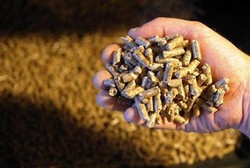 BUMN Ini Bikin Pabrik Pelet Kayu untuk Pembangkit Listrik Rp 40 M