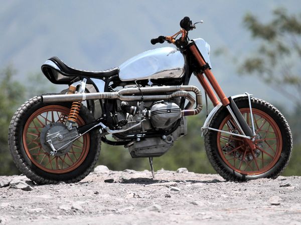 Si Kuda Liar yang Sulit Dijinakkan