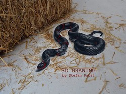 Seram! Lukisan Ular 3D Seperti Hidup