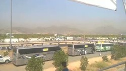 Unik, Ada Pohon Sukarno di Padang Arafah Arab Saudi