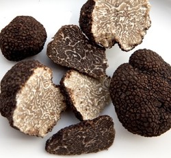 Mengapa Jamur Truffle Mahal Harganya?