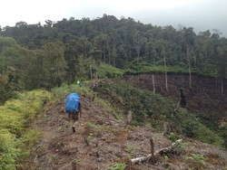 Gunung Latimojong Tempat Aviastar Jatuh, Dikenal di Mata Pendaki