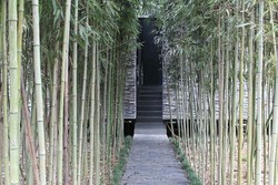 Hutan Bambu di Tiongkok Ini Sembunyikan Taman-taman Unik