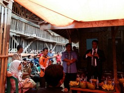 Mentan Heran, Peternak Ayam Untung Rp 2.000/Ekor Masih Dianggap Rugi