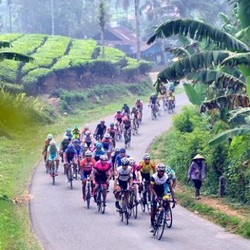 Menikmati Segarnya Danau Kembar dan Kebun Teh Solok Selatan