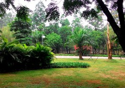 Taman Tebet yang Mendadak Jadi Buah Bibir di Medsos