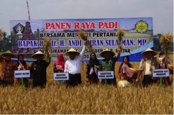Cukup Bayar Rp 30.000, Petani Dapat Asuransi Rp 6 Juta/Hektar