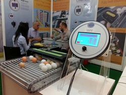 Mau Cari Peluang di Peternakan? Yuk Datang ke Kemayoran