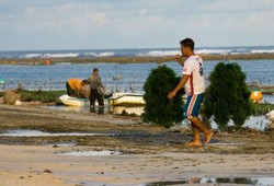 Susi Sebut Baru 2,6% dari 12 Juta Ha Lahan Rumput Laut yang Digarap