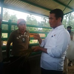 Ditanya Impor Beras, Mentan: Kok Tak Tanya Sudah Ekspor Apa?