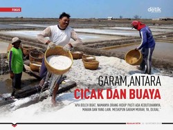 Garam, antara Cicak dan Buaya