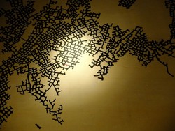 Lanskap Alam Paling Tersembunyi di Belanda