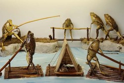 Museum Unik di Kroasia, Isinya Ratusan Katak Awetan