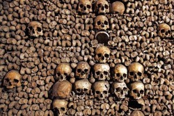 Hii! Airbnb Tawarkan Bermalam di Kuburan Bawah Tanah Paris