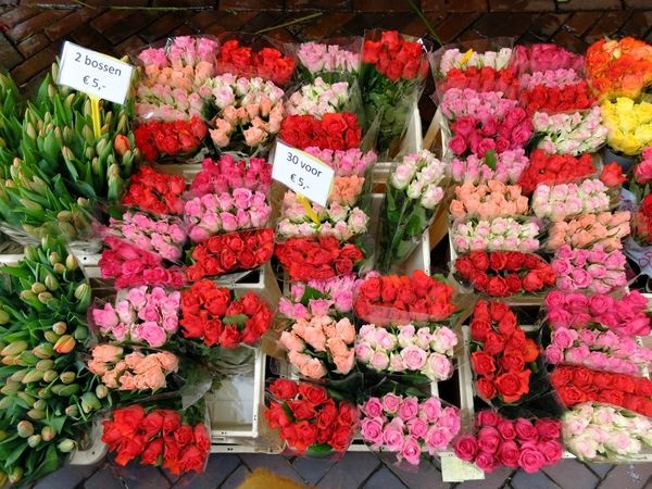 Cantiknya Pasar Bunga di Tengah Kota Utrecht, Belanda