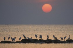 Kapal Nabi Nuh di Tanzania