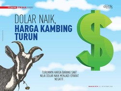 Dolar Naik, Harga Kambing Turun