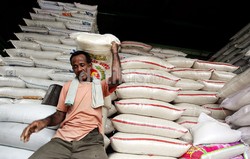 Darmin Akui Impor Beras Vietnam dan Thailand, Kementan: Ada Surplus 11 Juta Ton