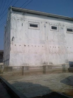 Sarang Burung Walet RI Tembus Pasar Tiongkok