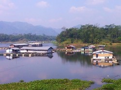 PLTA Terbesar di ASEAN Ini Sekarat Akibat Dikepung Keramba Ikan