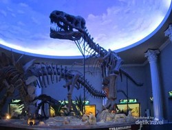 Santai Akhir Pekan di Malang & Batu