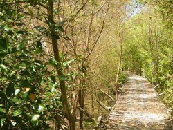 4 Tempat Wisata Beda untuk Berakhir Pekan di Surabaya