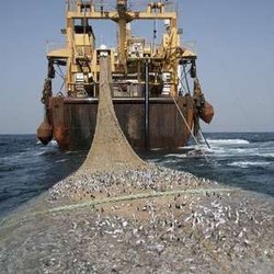 Susi Kagum Dengan Negara Kecil di Afrika yang Sikat Pencuri Ikan