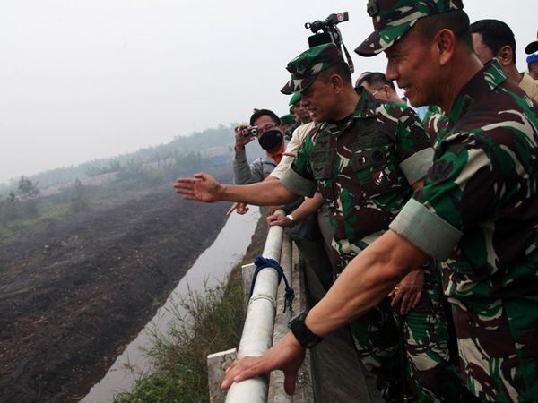 Panglima TNI Tinjau Penanggulangan Kebakaran Hutan