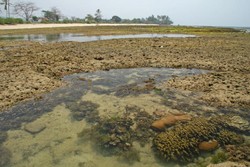 Ini yang Bening-bening di Anyer