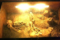 Kerangka Manusia Purba di Museum Nasional, Jakarta