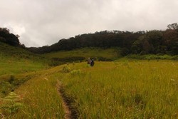 Yang Beda di Pangalengan, Padang Savana Tegal Panjang