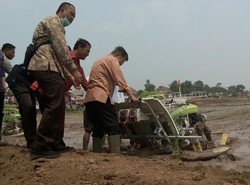 JK Sebut Konsumsi Beras RI Turun, Tapi Mi Instan Naik