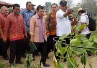 JK Hadiri Peringatan Hari Pangan di Palembang