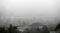 Gara-gara Hutan Dibakar, Sumber Energi Ini Sulit Berkembang