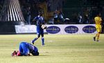 Persib Juara Piala Presiden
